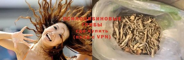 сатива Алексин