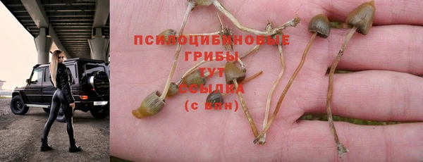 сатива Алексин