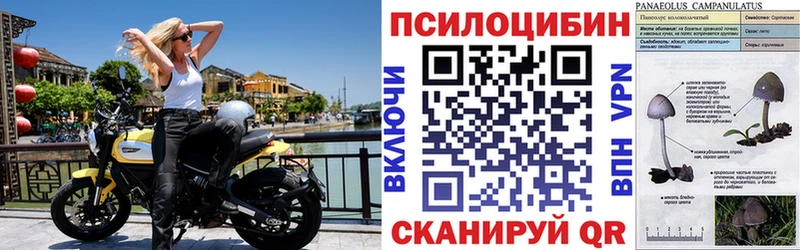 мега зеркало  Жигулёвск  Псилоцибиновые грибы GOLDEN TEACHER  купить наркоту 