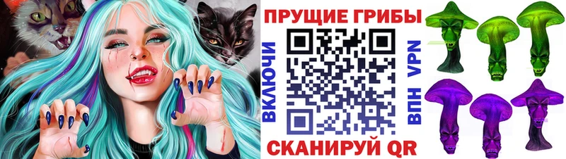 Галлюциногенные грибы Psilocybe Жигулёвск